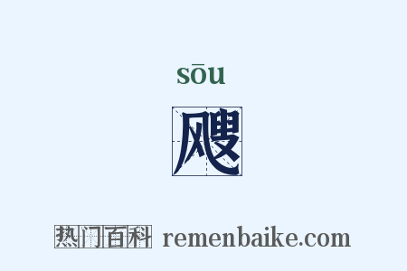 飕是什么意思的图片